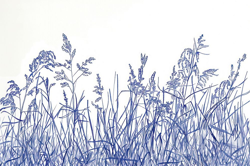 Vintage drawing meadow sketch illustrated vegetation.