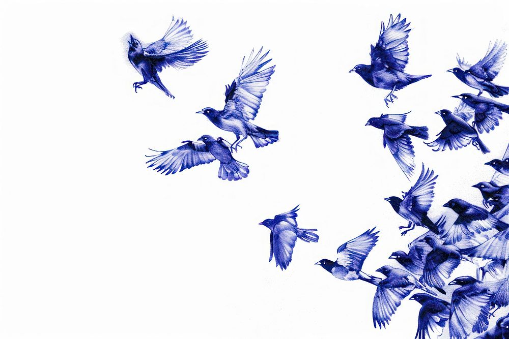 Vintage drawing birds flying animal pigeon.