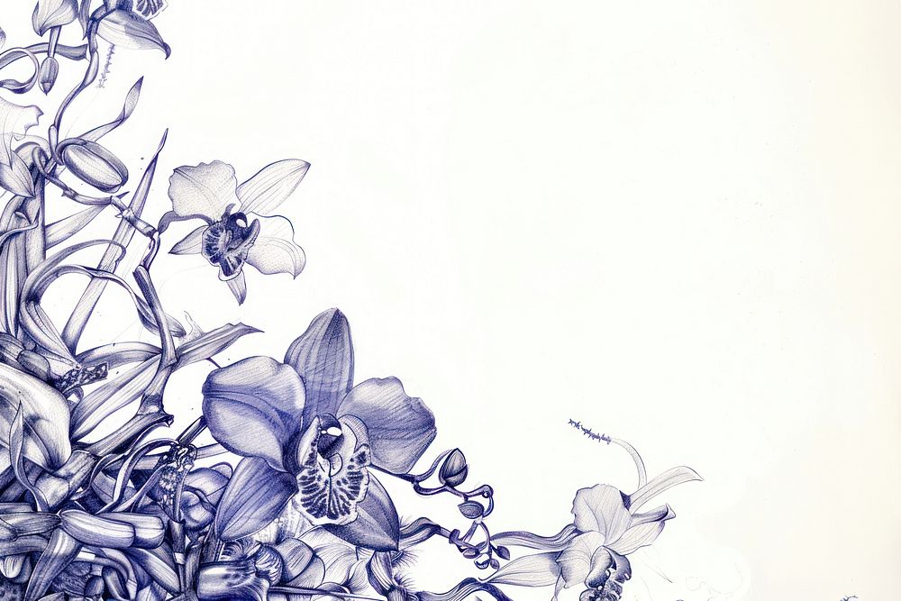 Vintage drawing orchids sketch illustrated graphics.
