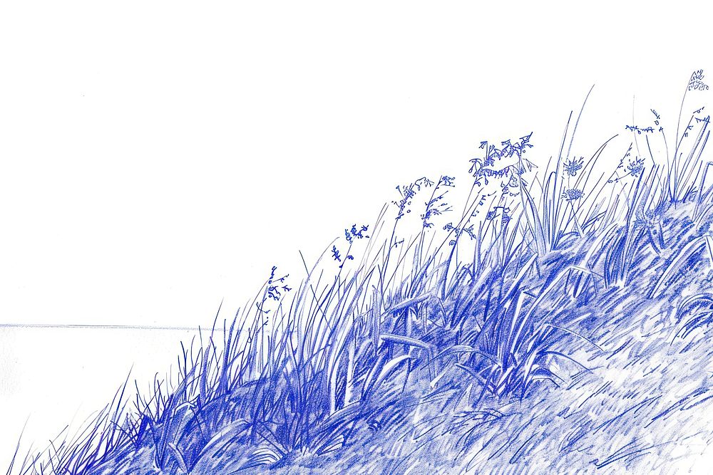 Vintage drawing wild grass hill sketch illustrated vegetation.