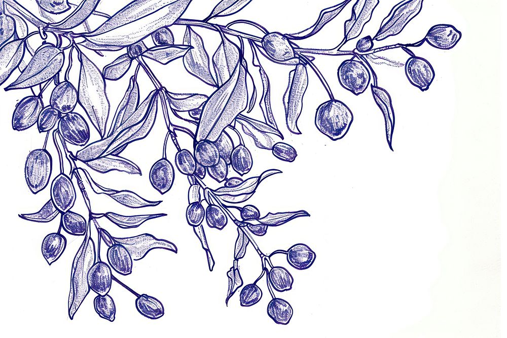 Vintage drawing mistletoe sketch illustrated chandelier.