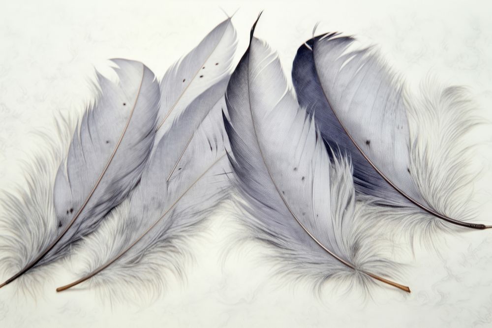 Floating feathers art accessories illustrated.