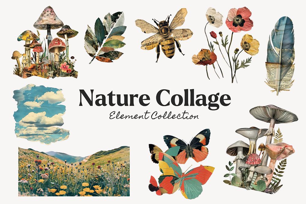 Nature craft collage design element set