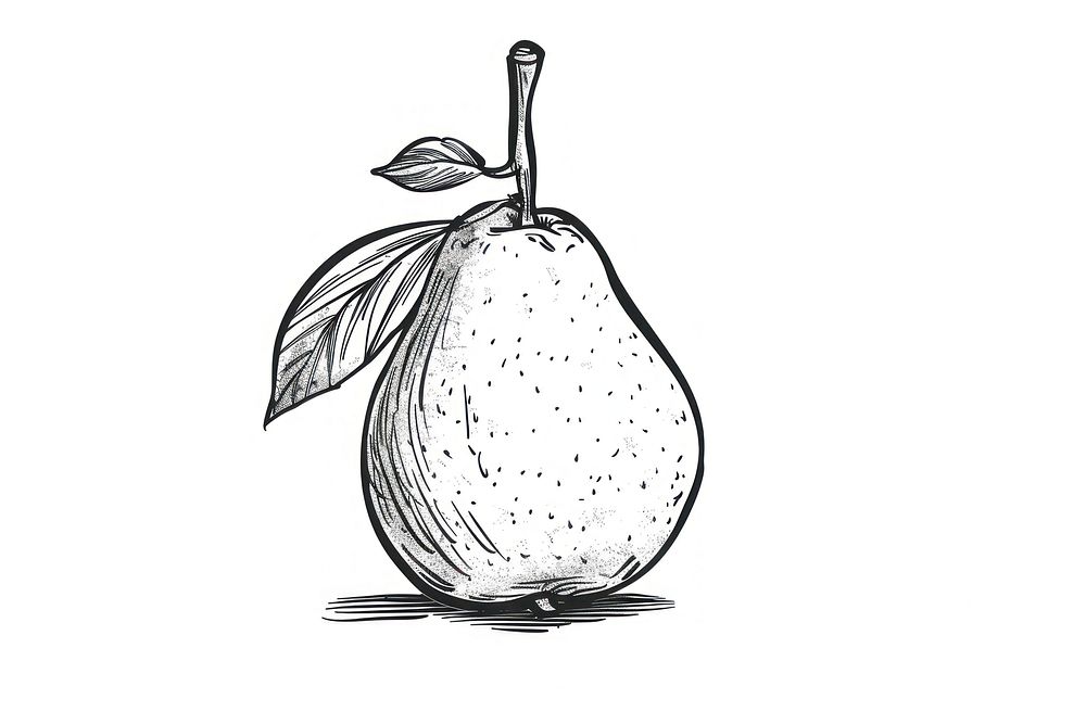 Detailed hand-drawn pear illustration | Free Photo Illustration - rawpixel