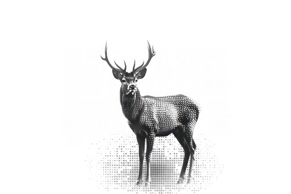 Majestic stag digital art