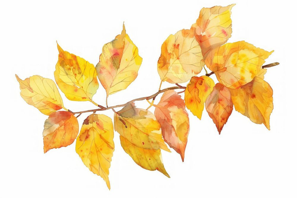 Autumn watercolor leaves branch illustration