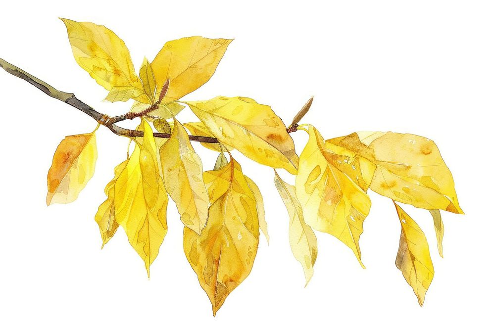 Autumn leaves watercolor illustration