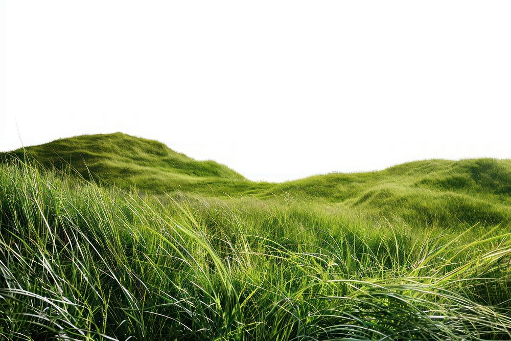 Lush green grassy hills landscape | Free Photo - rawpixel