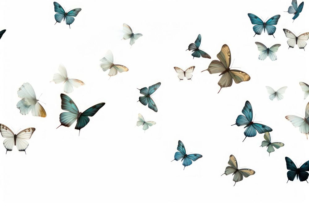 Colorful butterflies in flight