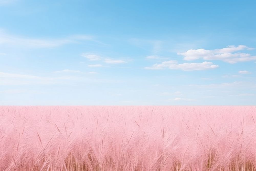 Pink wheat field under sky | Free Photo - rawpixel