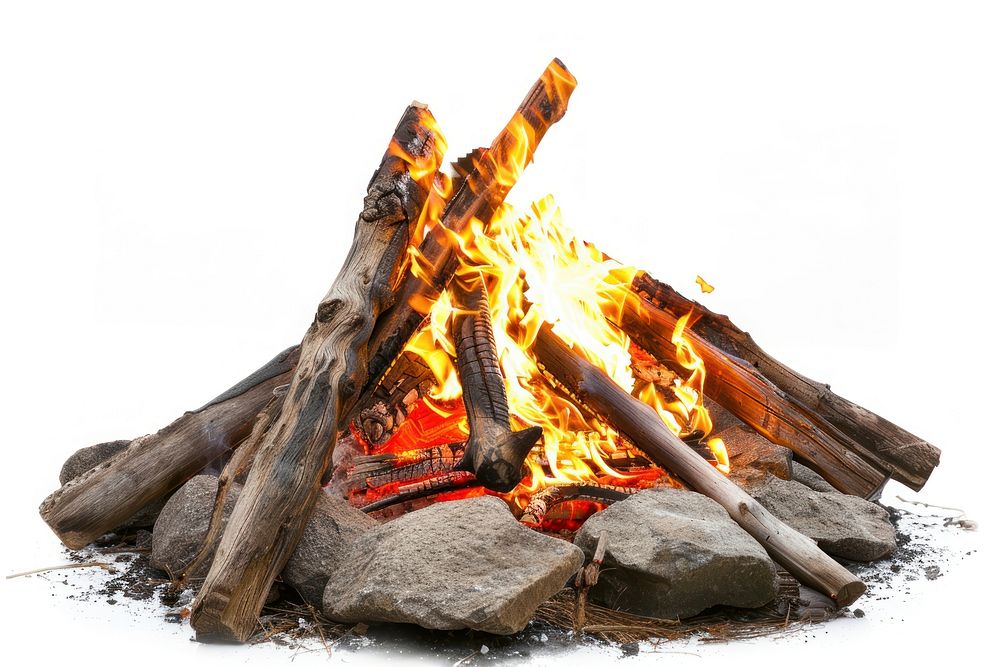 Warm campfire with burning logs