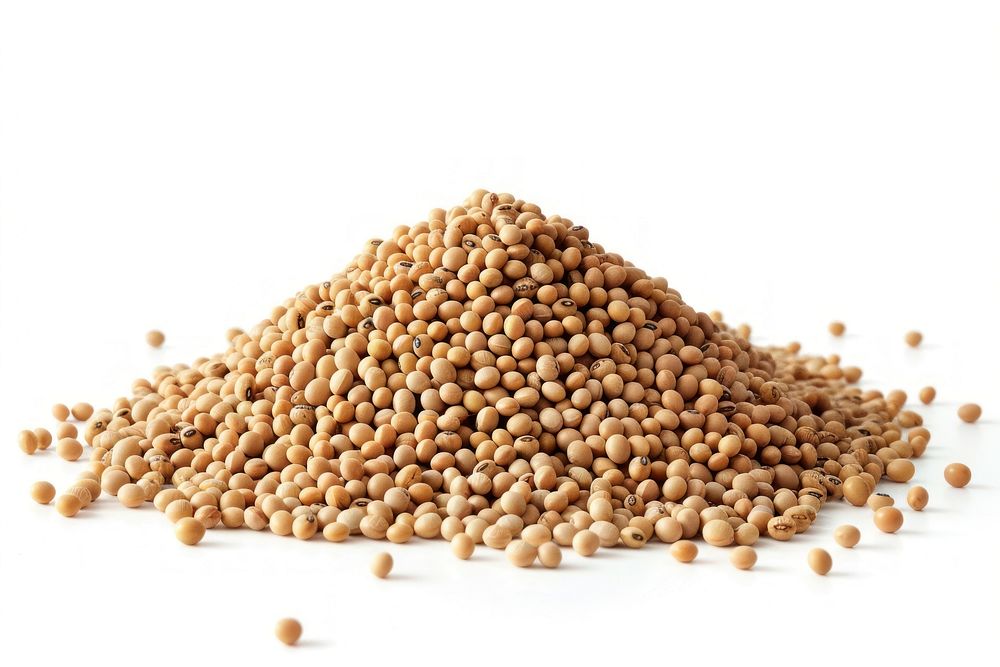 Organic soybeans on white background