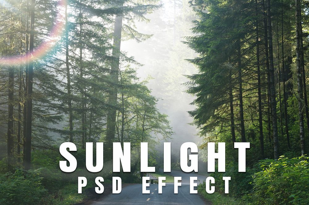 Sunlight PSD Effect | Premium PSD Add-on - rawpixel