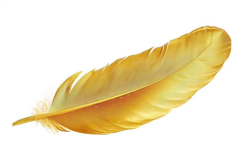 Golden feather, elegant, luxurious, delicate, shiny