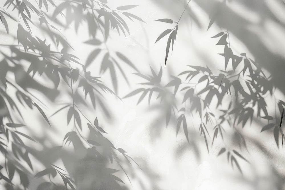 Ethereal bamboo shadows on wall