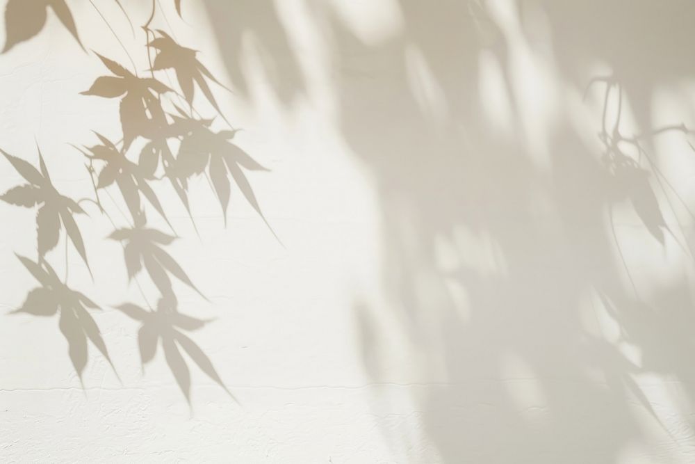 Elegant leaf shadows on wall