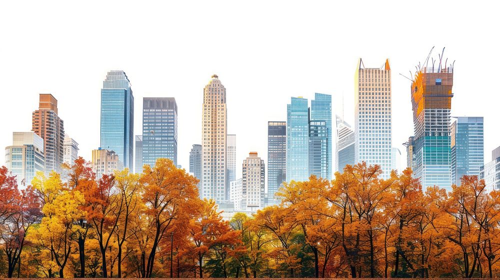 Autumn city skyline trees