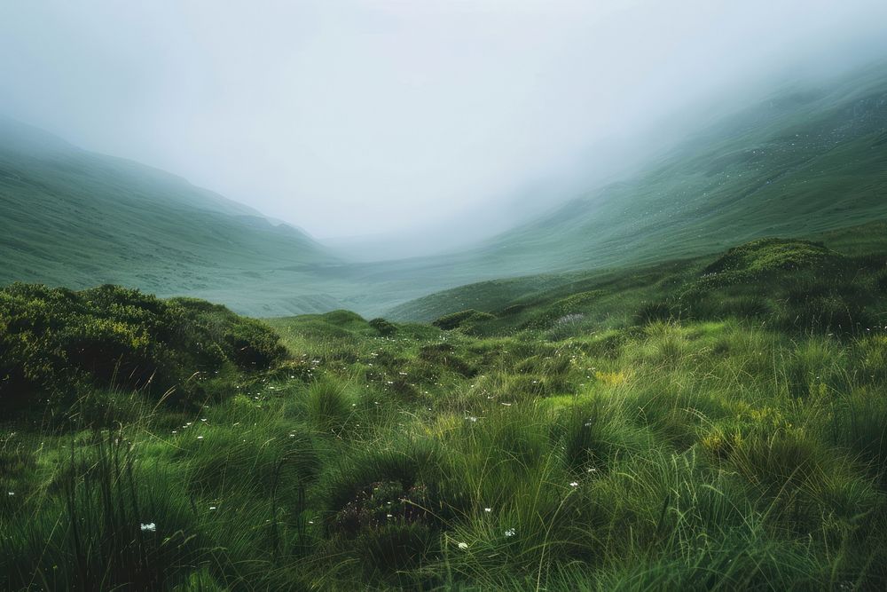 Misty green valley landscape