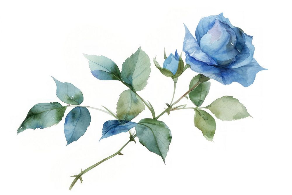 Elegant blue rose watercolor illustration | Free Photo Illustration ...