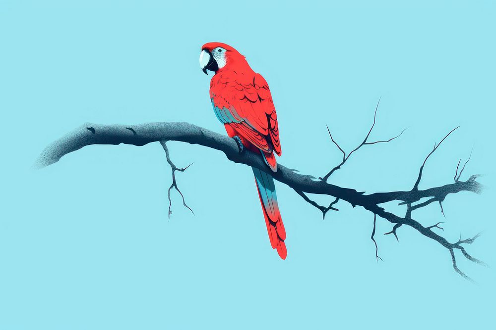 Parrot branch parrot animal macaw. | Free Photo Illustration - rawpixel