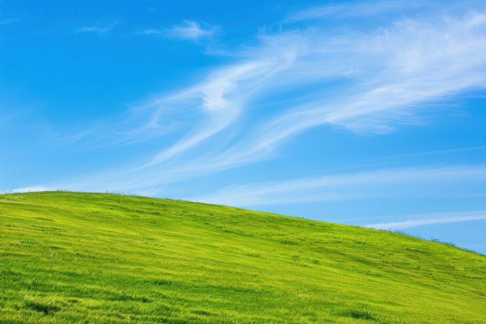 Vibrant green hill landscape