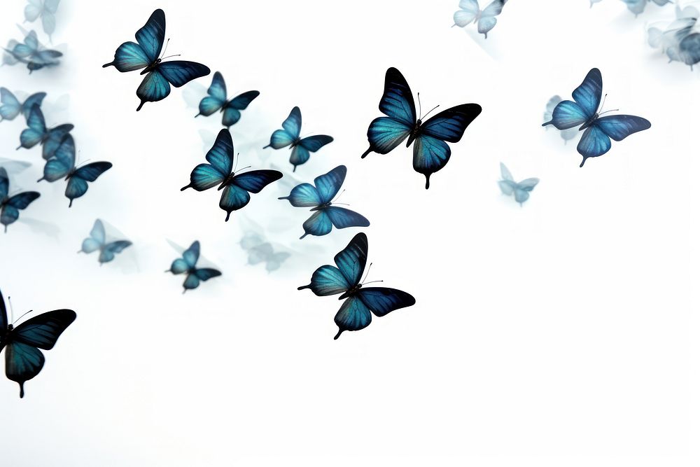 Blue butterflies in flight illustration