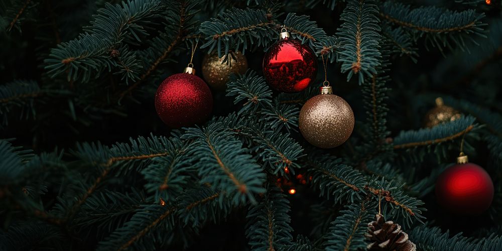 Christmas tree with red and gold ornaments christmas branches pine.