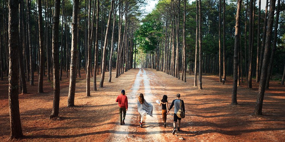 Friends walking forest path together