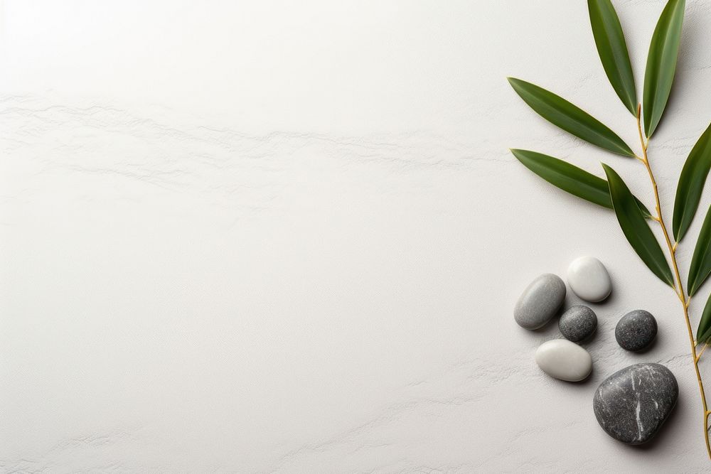 Minimalist zen background pebble medication plant.