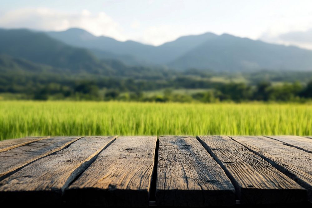 Wooden table with a blurred background countryside landscape green.