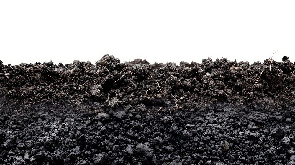 Black soil ground nutrient-rich agricultural.