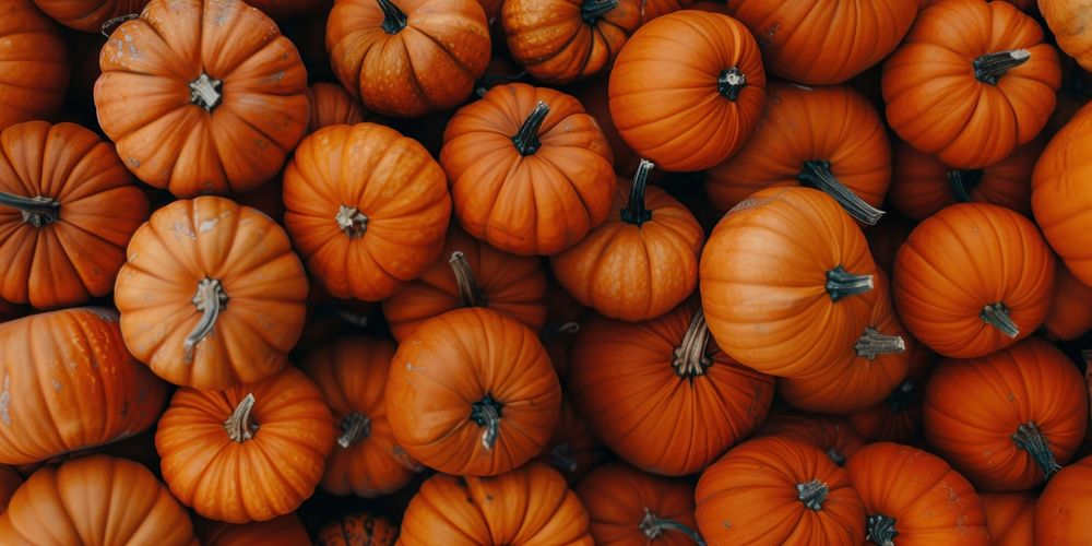 A pile of pumpkins vegetable produce squash.