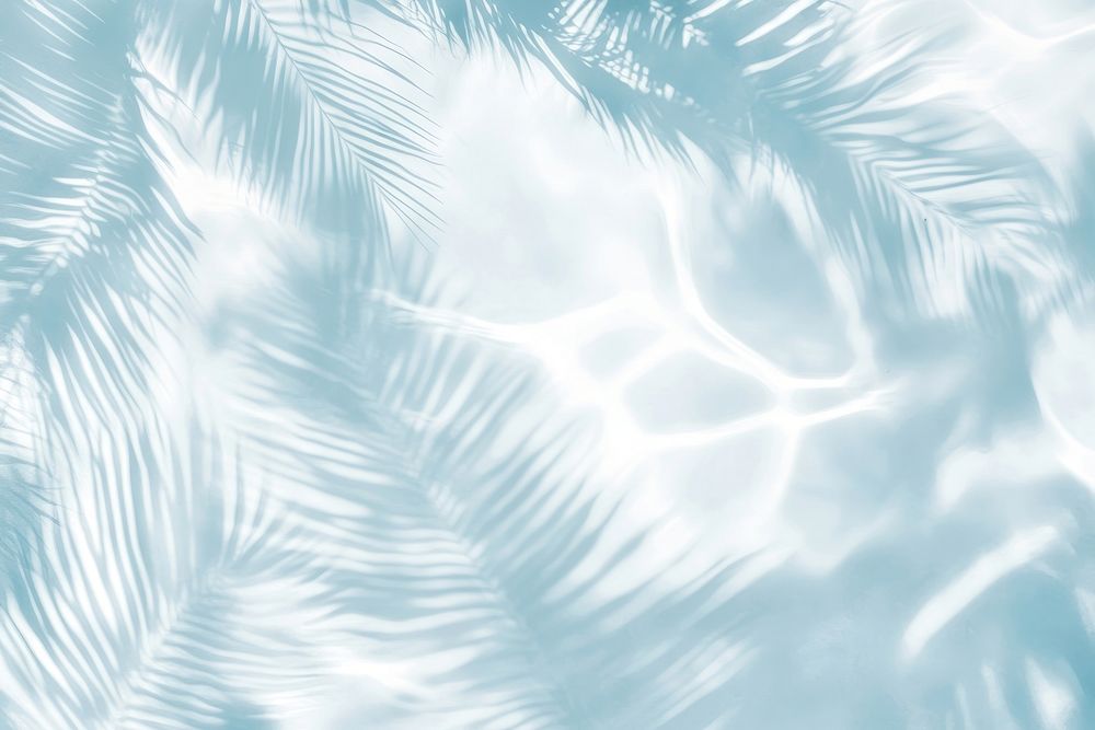 Palm leaves shadow on water background outdoors abstract.