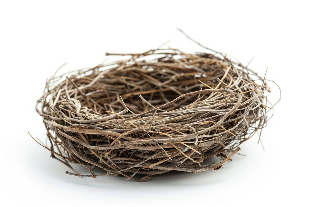 Natural bird nest isolated white