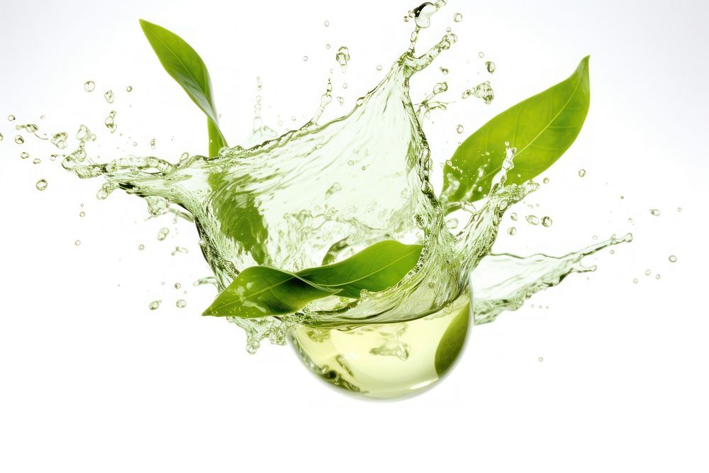 Green tea splash leaves leaf beverage.