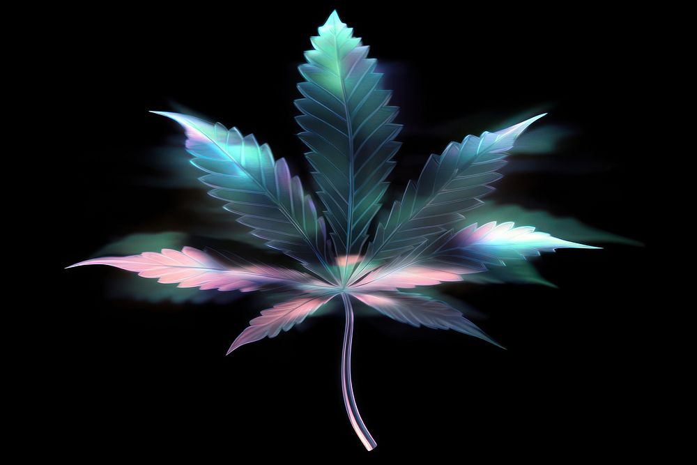 Cannabis leaf illustration psychedelic.