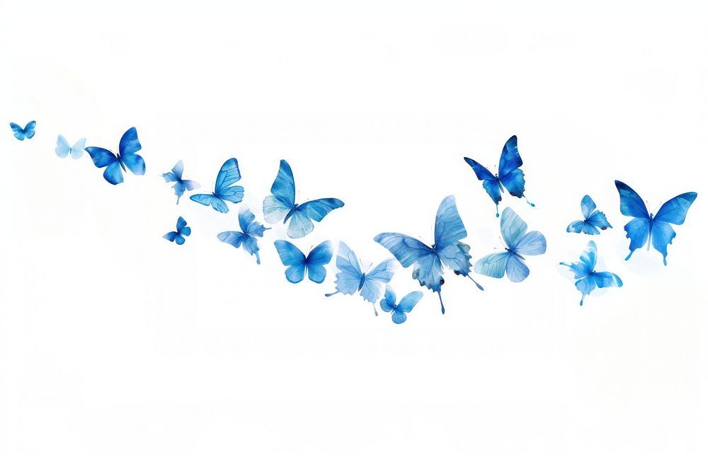 Flying blue butterflies butterfly illustration migration.