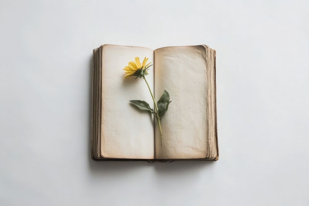 Book with wildflower aesthetic open publication.