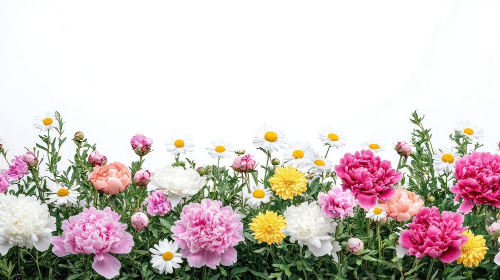 Background colorful flowers nature.