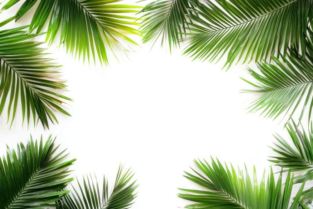 Real neon palm leaves leaf background tropical.