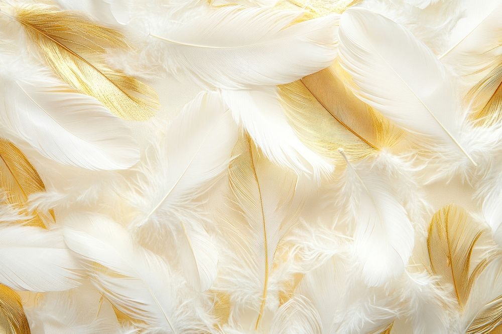 Real gold white feathers background pattern accessories.