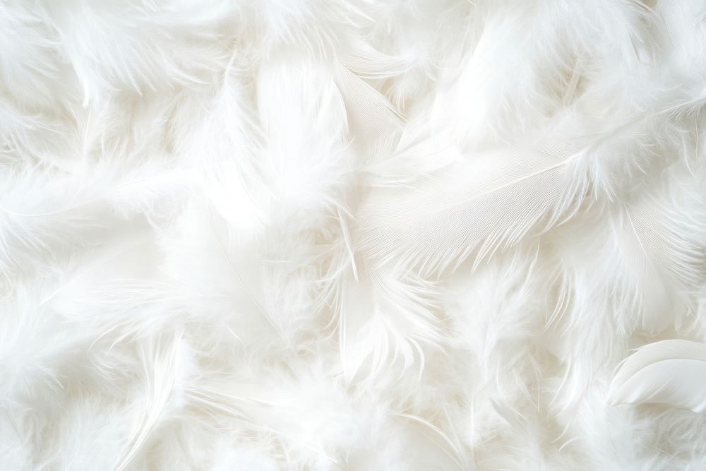 Real white feathers background accessories accessory.