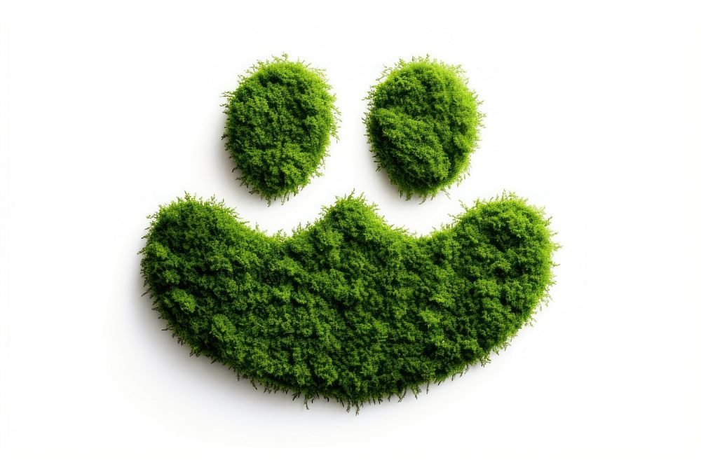 Cat footprint icon plant green leaf.