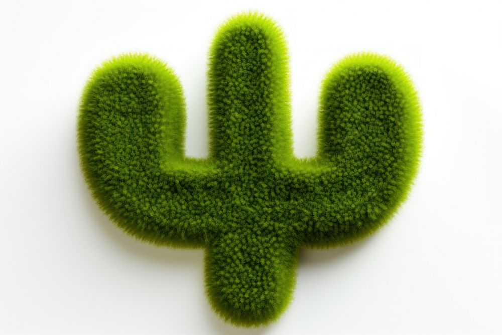 Cactus icon plant shape green.