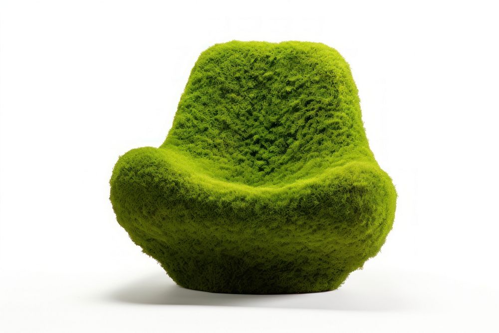 Chair icon plant green moss.