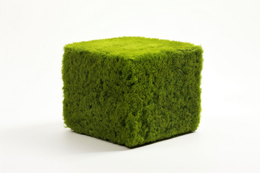 Cube moss plant white background.