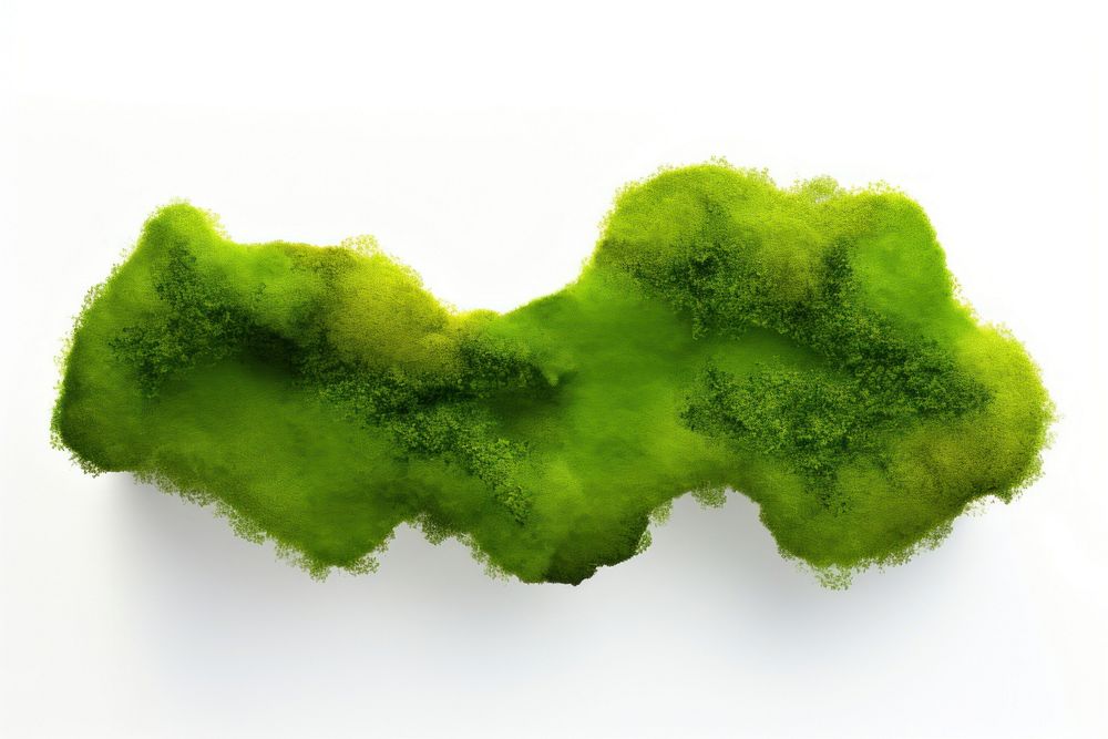 Abstract moss plant algae.