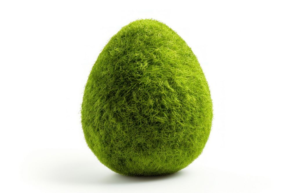Easter egg moss icon plant food white background.