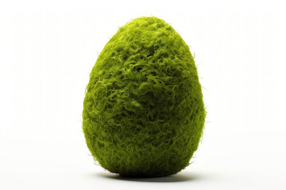 Easter egg moss icon plant food white background.
