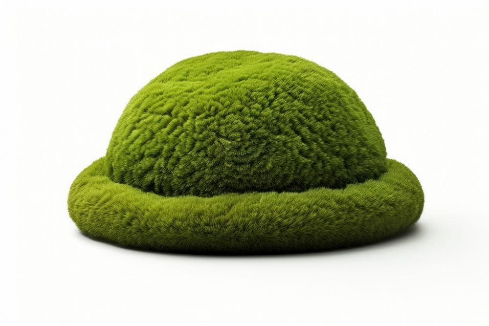 Hat icon plant moss white background.